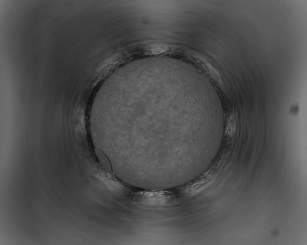 X0000100330524200806191111