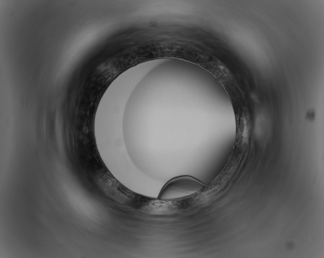 X0000100330526200806191111