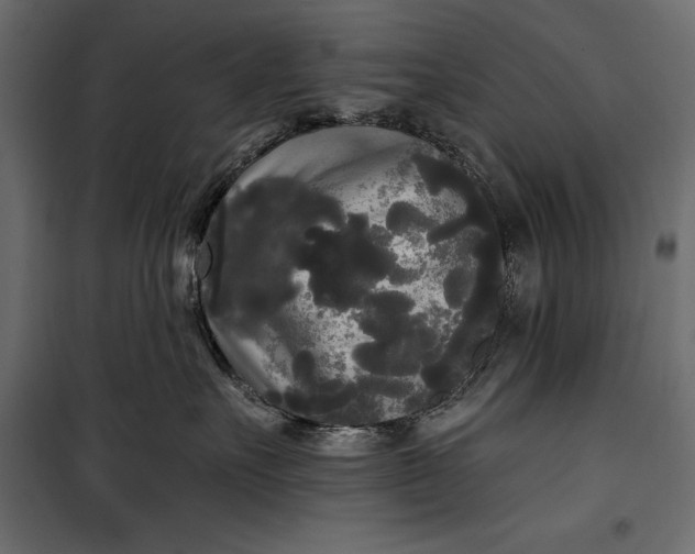 X0000100330527200806191111