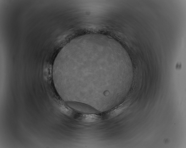 X0000100330528200806191111