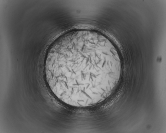 X0000100330529200806191110