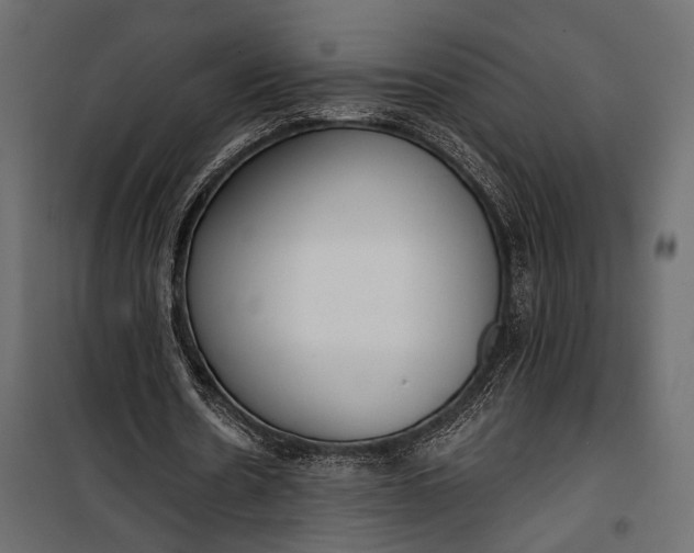 X0000100330530200806191110