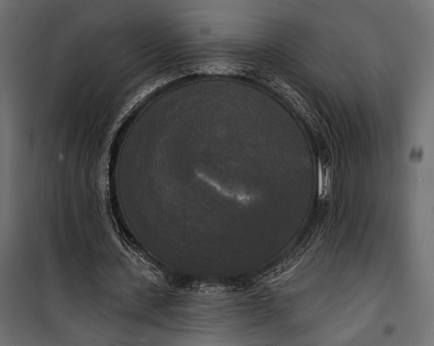 X0000100330531200806191110