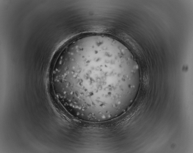 X0000100330532200806191110