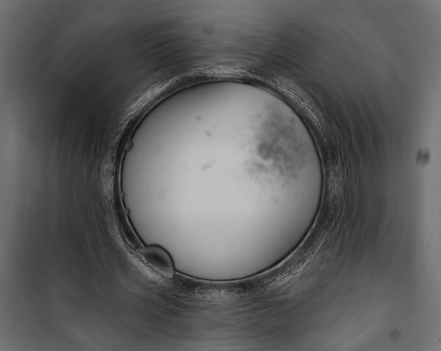 X0000100330533200806191110