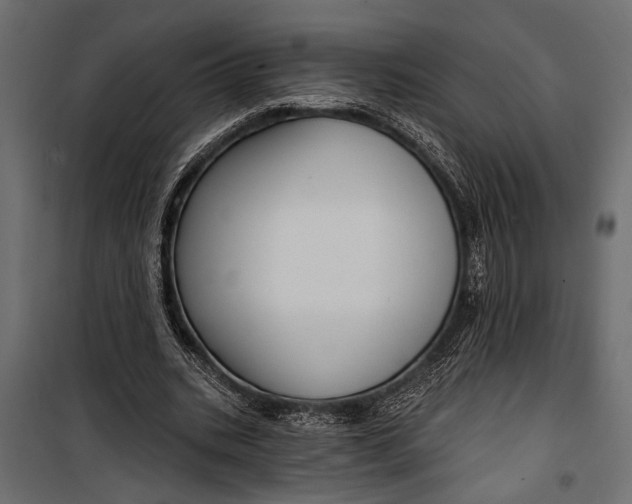 X0000100330535200806191110