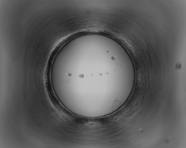 X0000100330536200806191110