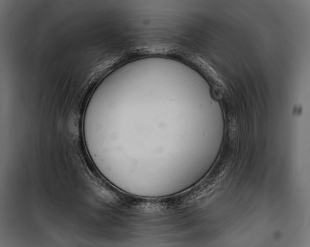 X0000100330537200806191110