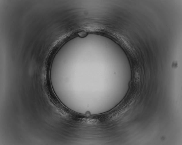 X0000100330539200806191110