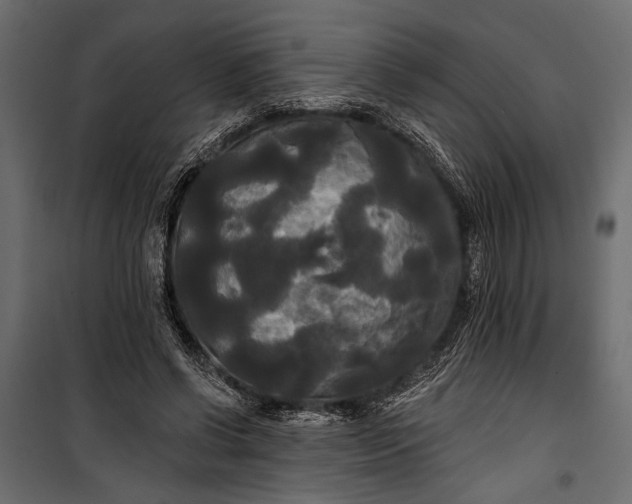 X0000100330542200806191110