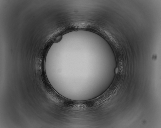 X0000100330543200806191110