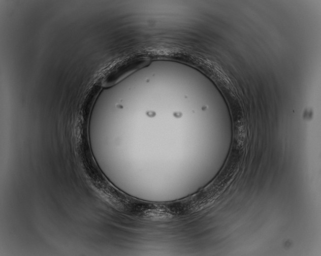 X0000100330544200806191110