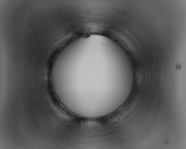 X0000100330546200806191110