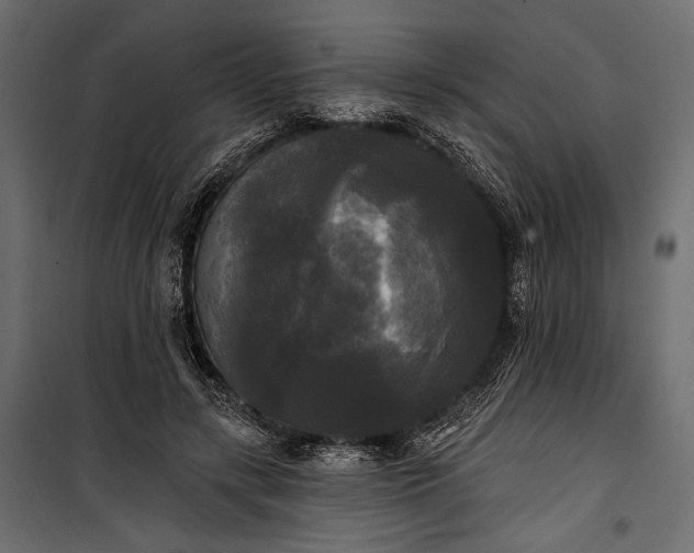 X0000100330547200806191110