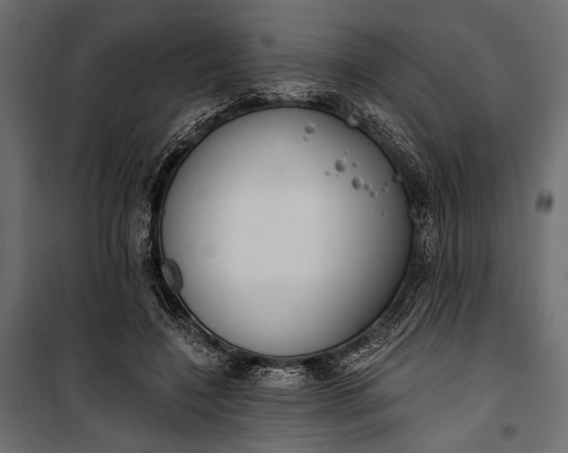 X0000100330548200806191110