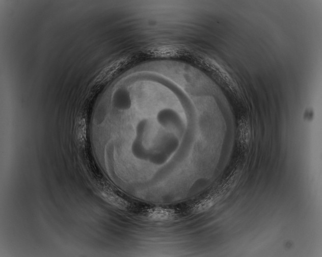 X0000100330549200806191110