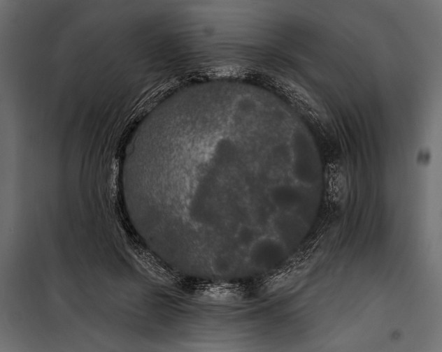 X0000100330550200806191110