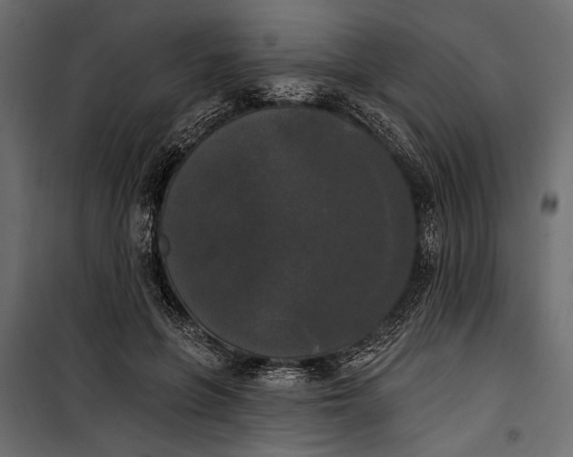 X0000100330551200806191110