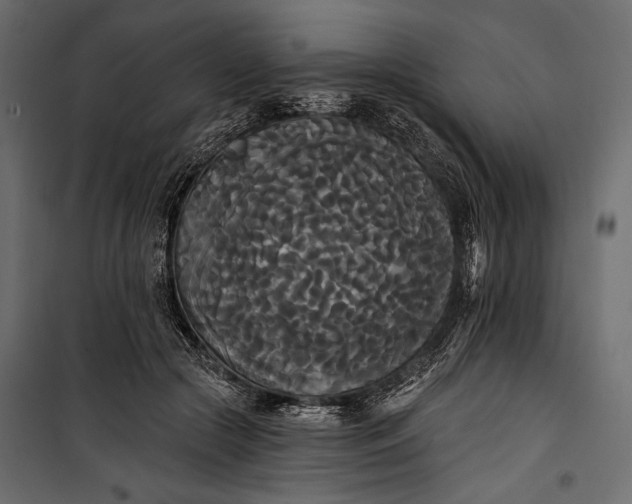 X0000100330553200806191110