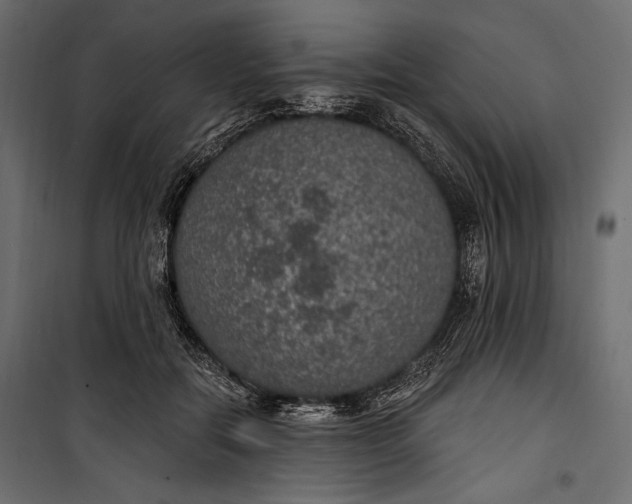 X0000100330554200806191110