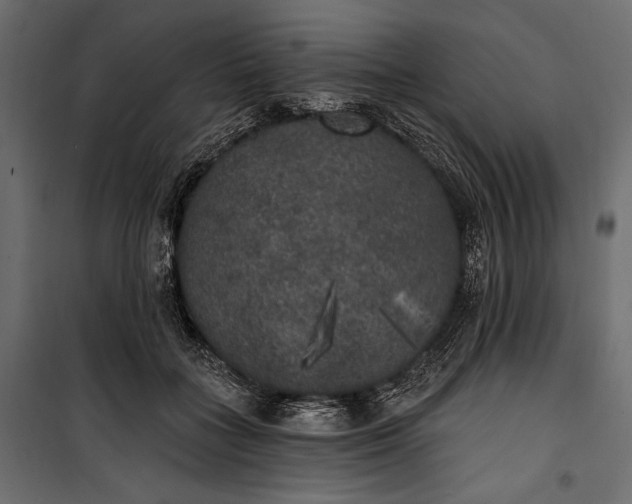 X0000100330555200806191110