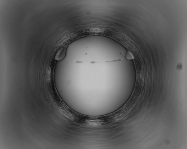 X0000100330556200806191110