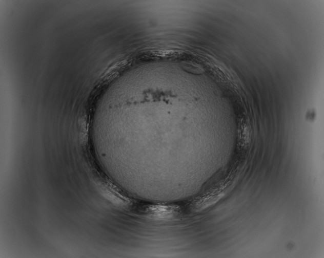 X0000100330558200806191110