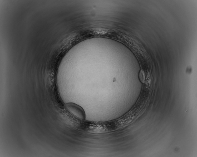 X0000100330559200806191110