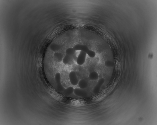 X0000100330561200806191110