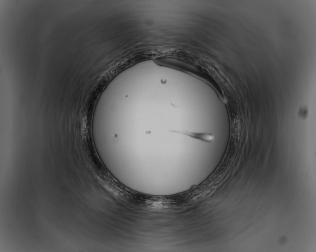 X0000100330564200806191110