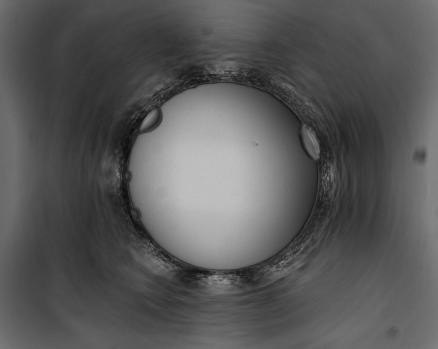 X0000100330566200806191110