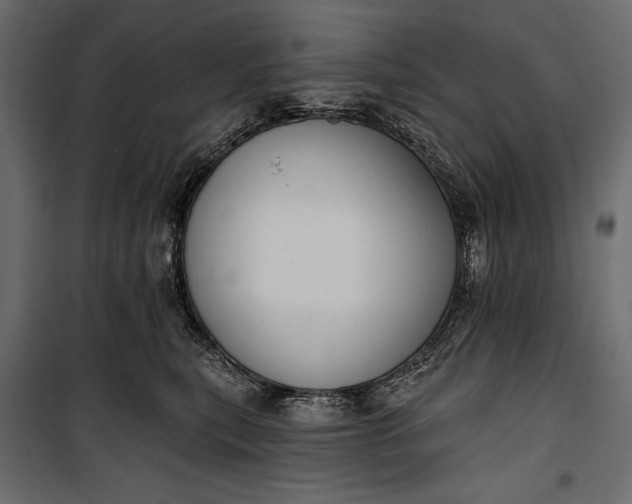 X0000100330567200806191110