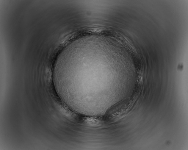 X0000100330568200806191110