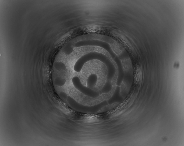 X0000100330569200806191110