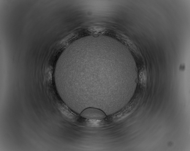 X0000100330570200806191110