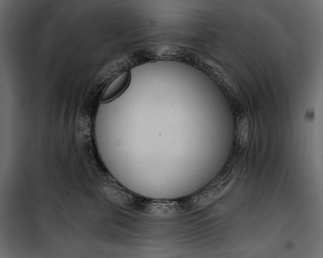 X0000100330571200806191110