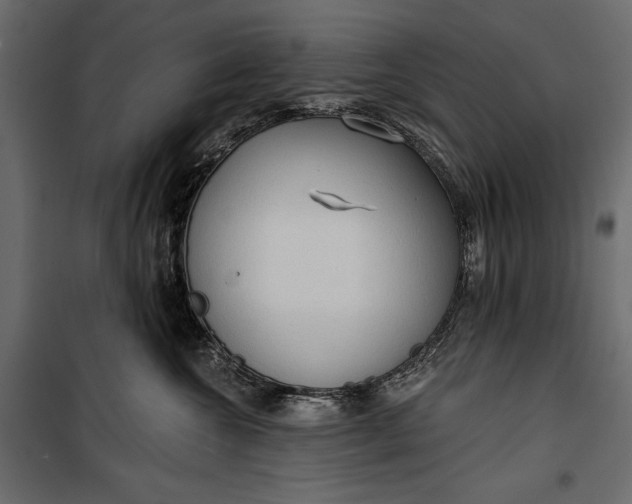 X0000100330572200806191110