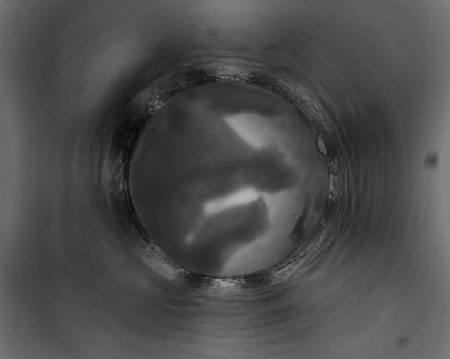 X0000100330573200806191110