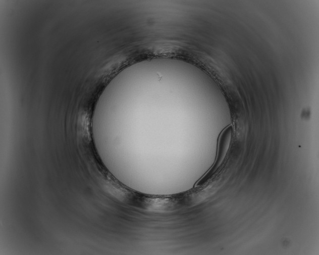 X0000100330575200806191110