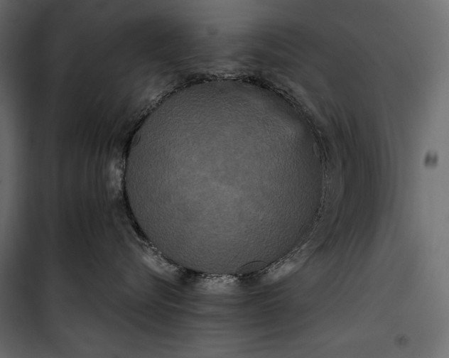 X0000100330576200806191110