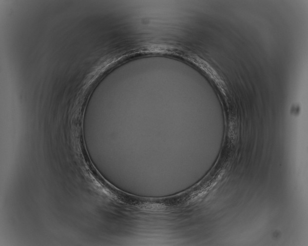 X0000100330577200806191110