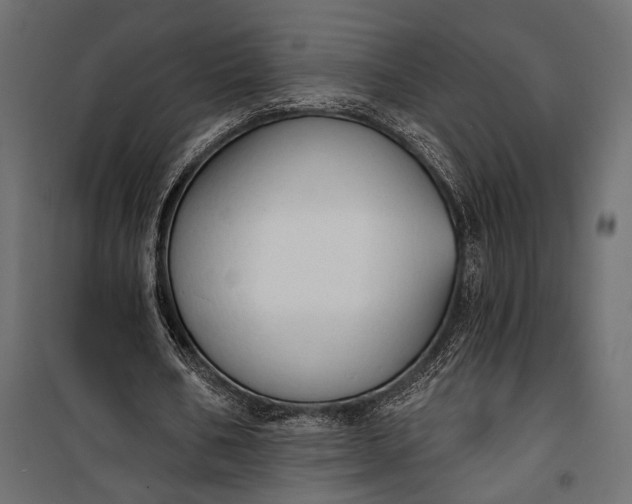 X0000100330578200806191110