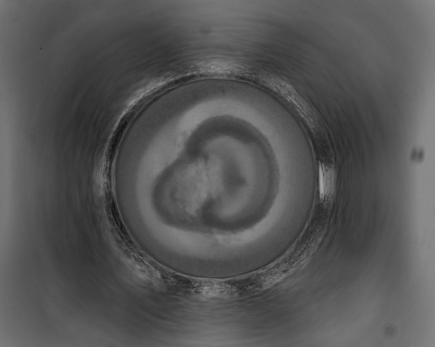 X0000100330579200806191110