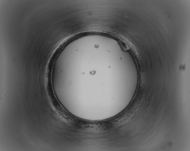 X0000100330580200806191110