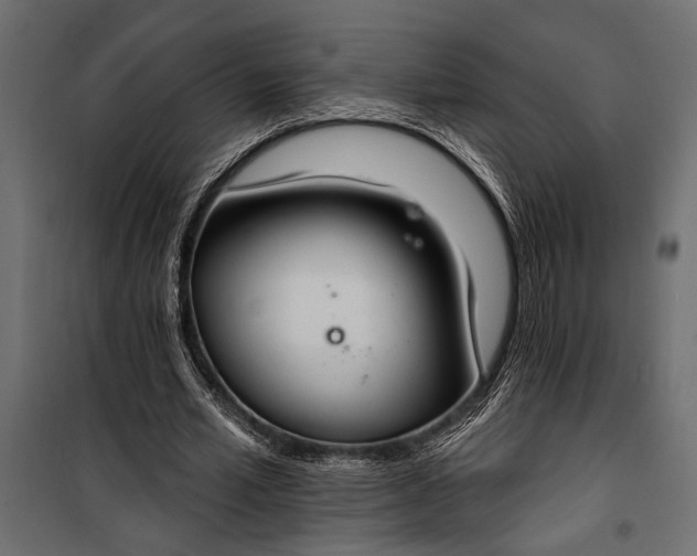 X0000100330581200806191110