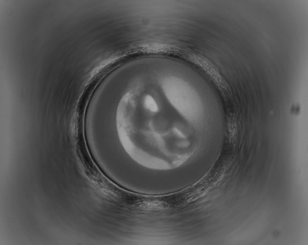 X0000100330583200806191109