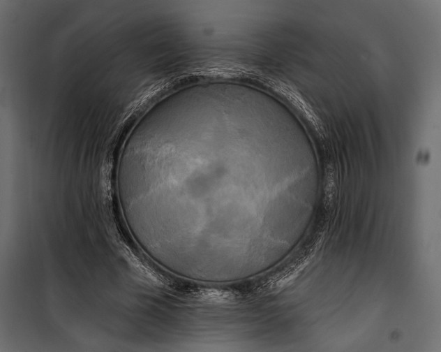 X0000100330585200806191109