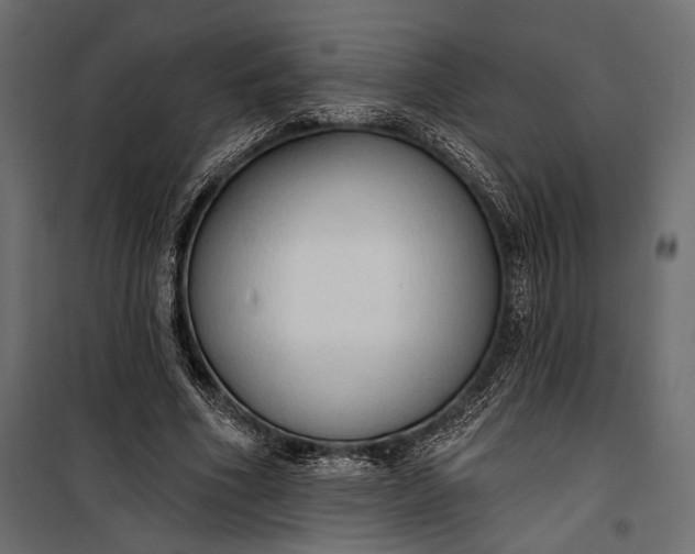 X0000100330586200806191109