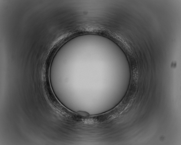 X0000100330587200806191109