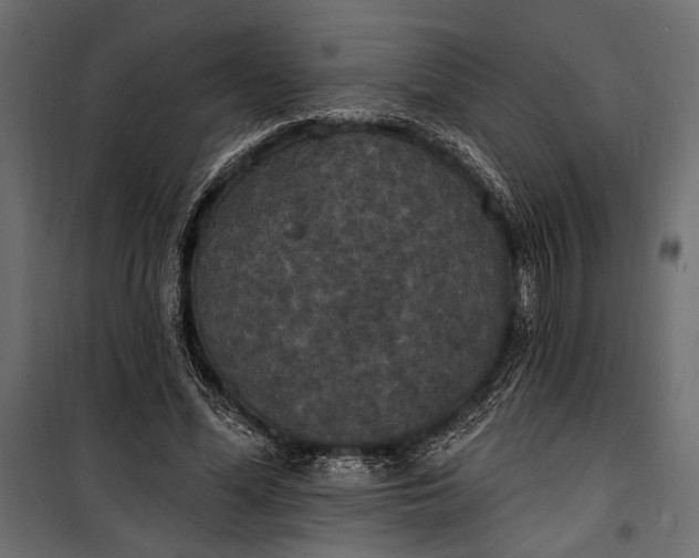 X0000100330588200806191109